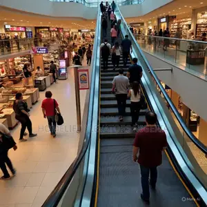 Passenger Escalators Motor-Driven Moving
