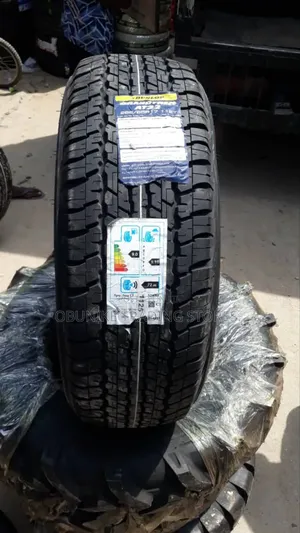 265/65r17 Dunlop Tyre