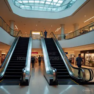 Escalators Public Buildings and Worship Centers