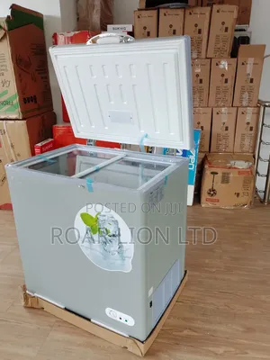 168l Bona Solar Freezer