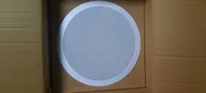 Ceiling Speaker (American Spec)