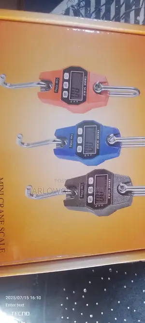Mini Crane Digital Scale 300kg
