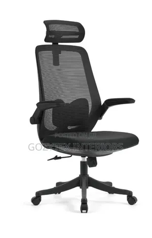 Executive Office Mesh Chair