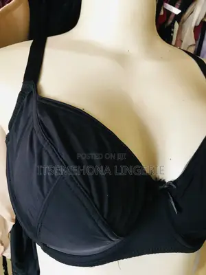 Secret Possession Bra 36e, 38d, 38e, 38f, 40d