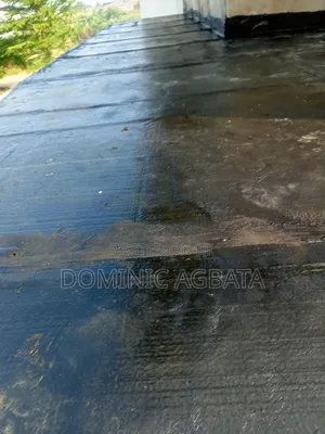 Serendipity Waterproofing Expert
