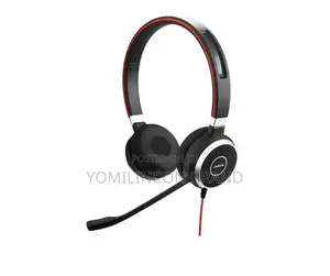 Jabra Evolve 40 Professional Wired Headset