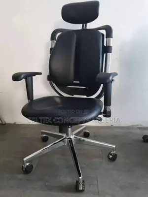 Office Chair for Back Pain Relief