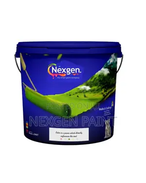 Silk Matt Paint .