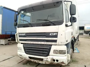 Daf Cf White 1998