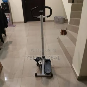 Standard Standing Stepper