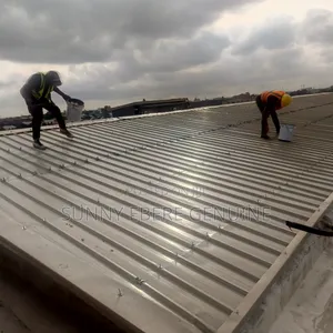 Roof Top Seal Water Guard Waterproofing
