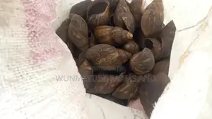 Table Size Snail