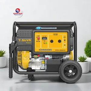Thermocool Igwe 8500es, 7.5kva (6kw) Generator