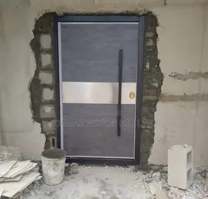Pivot Door 4 by 7ft Spacial