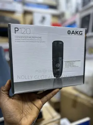 Akg P120 Studio Recording Condenser Microphone, Black