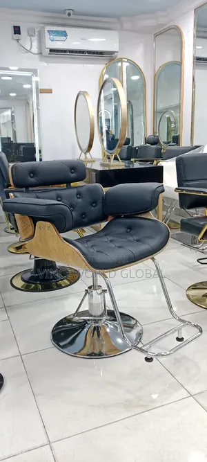 Salon Chair Wd887