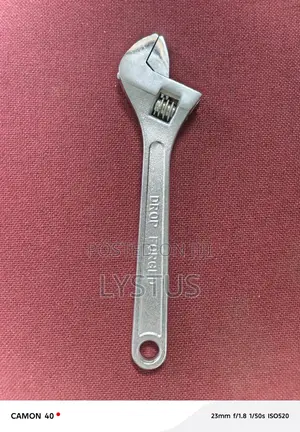 10" (250mm) Forged Steel Adjustable Spanner