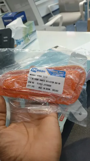 Bumper Pointer Hyundai Kona 2020 Available