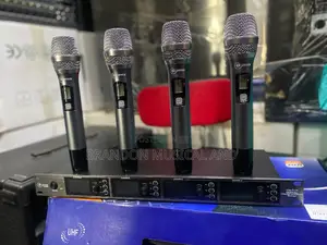 4 in One Wireless Microphone