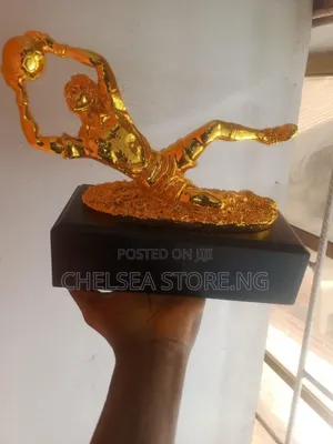 Best Goalkeeper Award