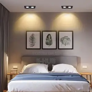 2in1 Spot Light