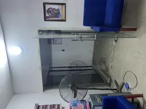 Frameless Door