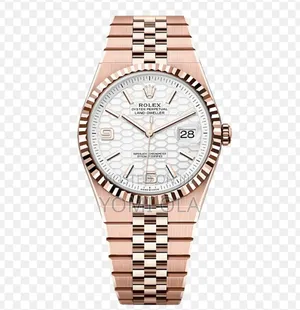 2025 Rolex Land Dweller Watch