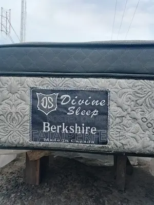 6/6 Canadian Hybrid Divine Sleep Othorpedic Mattress