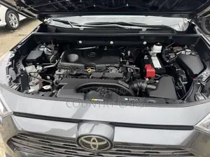 Toyota RAV4 Limited 2021 Gray