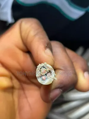 4mmx3core Wire