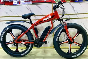 Hero Electric Bike