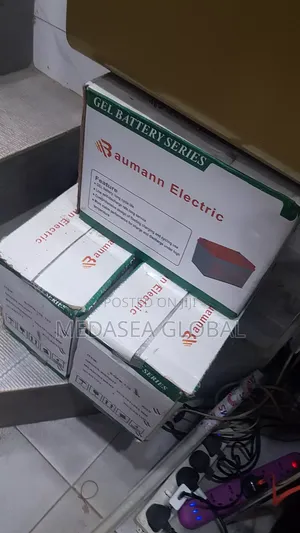 100ah Battery Baumann
