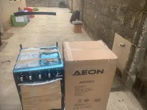 High-Performance Aeon 3+1 Gas Electric Cooker