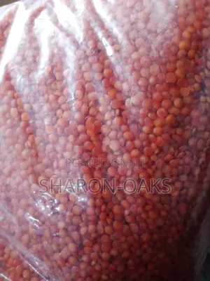 Red Lentils 100g