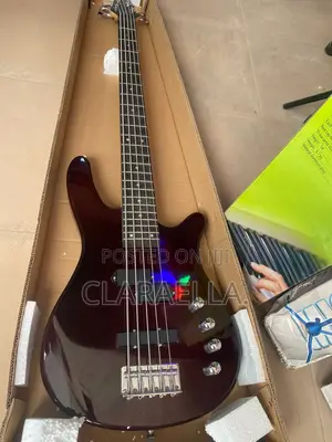 Ibanez Gio 5-String Bass Guitar