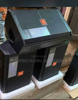 12" Inches Professional Speaker