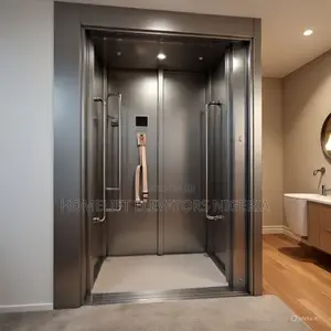2–3 Small Home Lifts or Compactpassenger Elevators