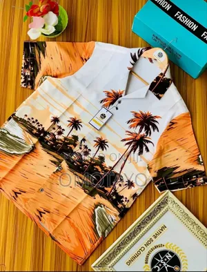Vintage Shirt and Native Wears