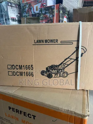 5.4hp Original Landmower Engine