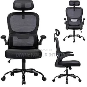 High Quality Mesh Ergonomic Swivel Chair- 1 Piece