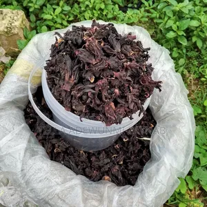 Zobo Leaf / Hibiscus Flower / Hibiscus Tea - 1 Custard Paint
