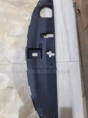 Radiator Plastic Santafe 2012.