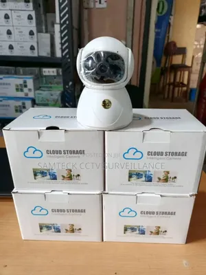 Cloud Storage Intelligent Camera