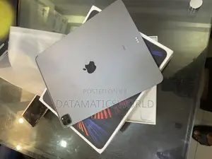 Apple iPad Pro 12.9 (2021) 256 GB Gray