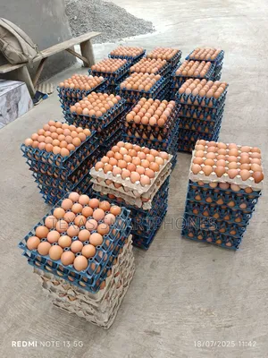 Crates of Eggs
