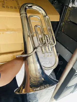 Euphonium Yamaha Professional