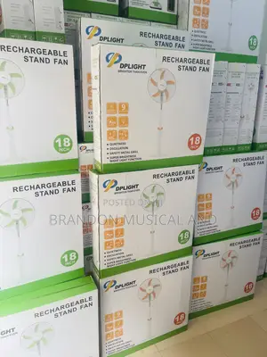 Rechargeable Standing Fan