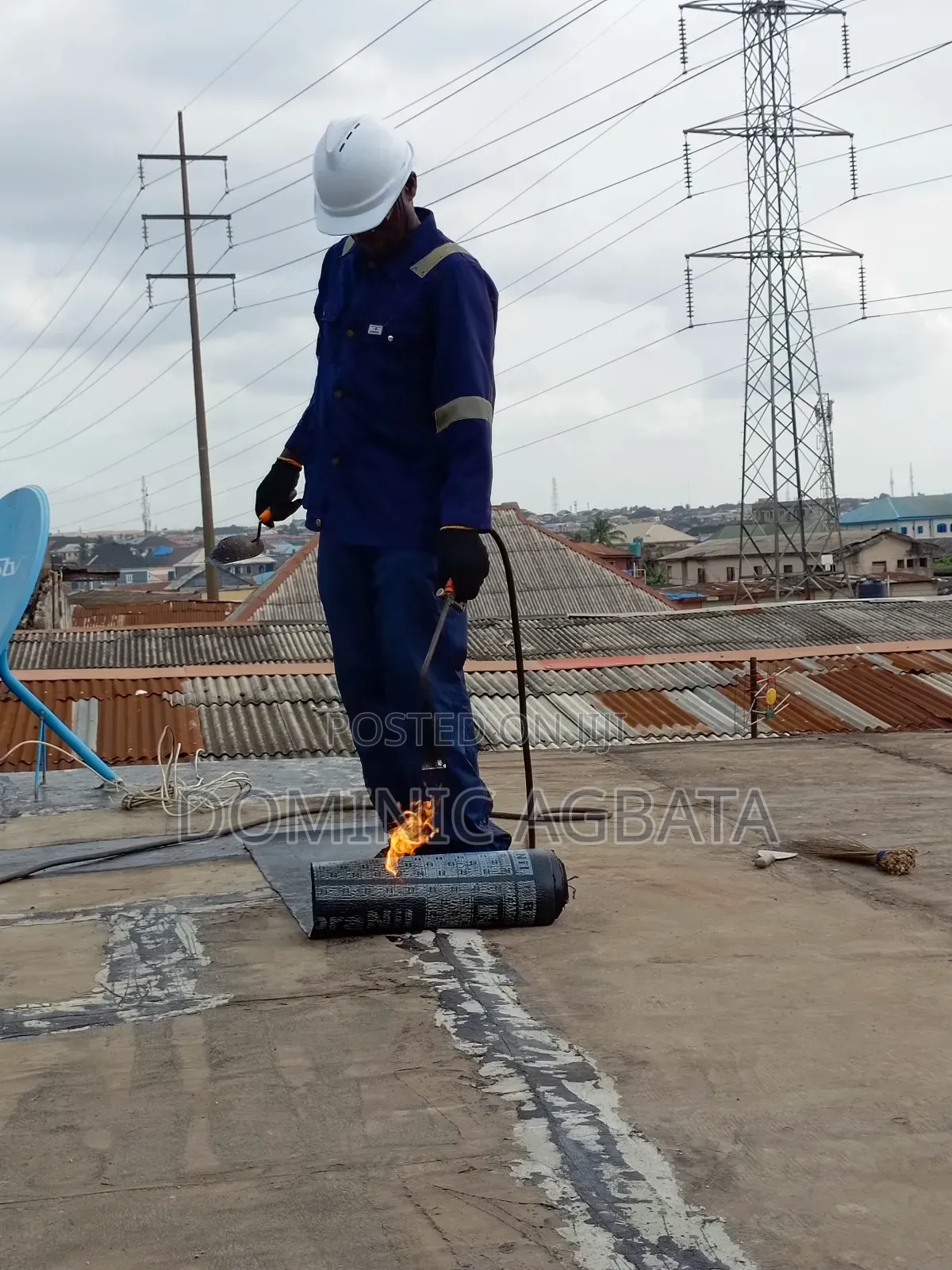 Whimsical Waterproofing Expert