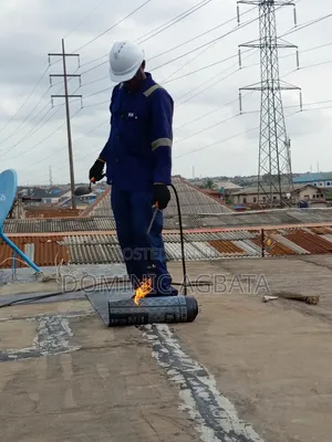 Whimsical Waterproofing Expert