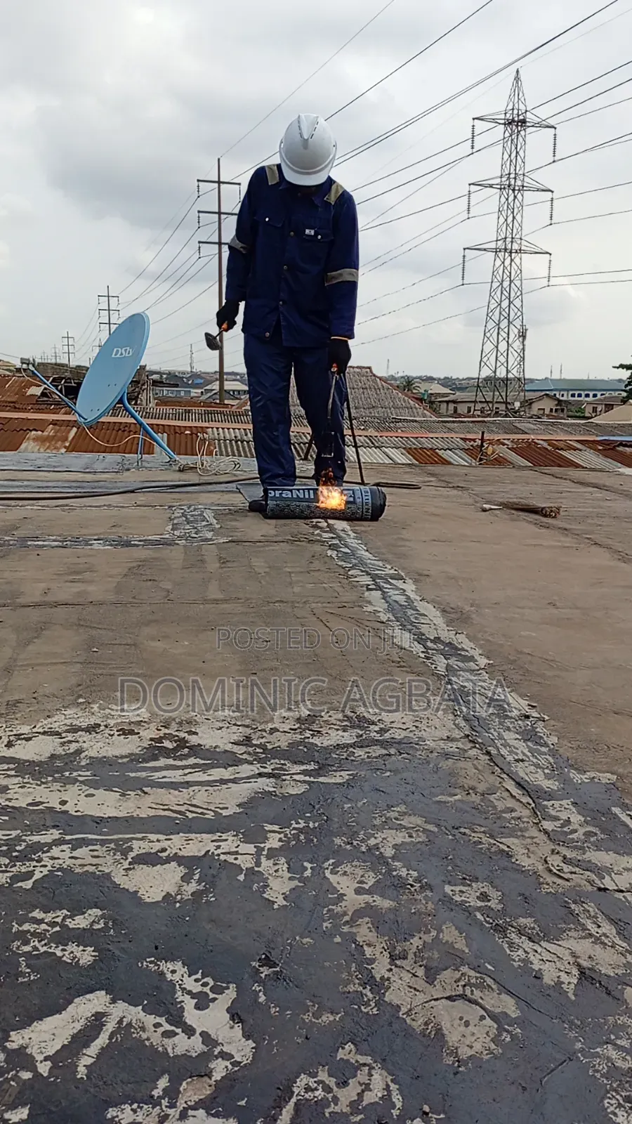 Whimsical Waterproofing Expert